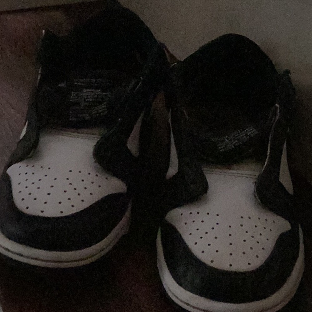 Panda dunks low - Picture 3 of 5